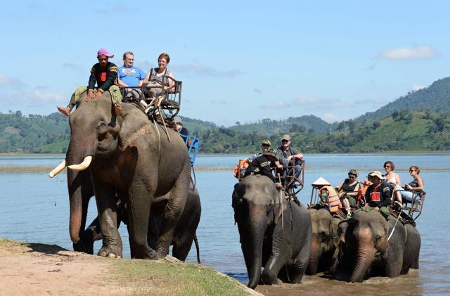 A group of foreign tourists taking an elephant ride across Lak lake in the central Vietnamese highland province of Dak Lak. (AFP Photo) A group of foreign tourists taking an elephant ride across Lak lake in the central Vietnamese highland province of Dak Lak. (AFP Photo)
