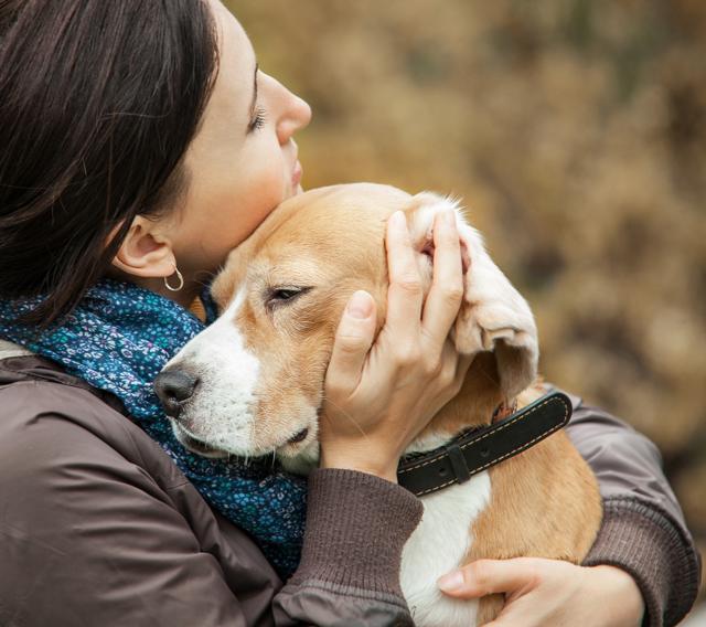 Adopt a furry friend this Christmas (Getty Images/iStockphoto) Adopt a furry friend this Christmas (Getty Images/iStockphoto)