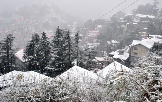 A white layer of snow covers Shimla. (Deepak Sansta/HT Photo) A white layer of snow covers Shimla. (Deepak Sansta/HT Photo)