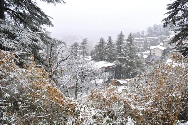 The tourist destination, also known as Hill Queen, turns white. (Deepak Sansta/HT Photo) The tourist destination, also known as Hill Queen, turns white. (Deepak Sansta/HT Photo)