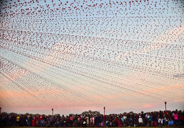 People attend the 15th birthday party celebrations of Rubi Ibarra in Villa Guadalupe, San Luis Potosi State, Mexico. (AFP Photo) People attend the 15th birthday party celebrations of Rubi Ibarra in Villa Guadalupe, San Luis Potosi State, Mexico. (AFP Photo)