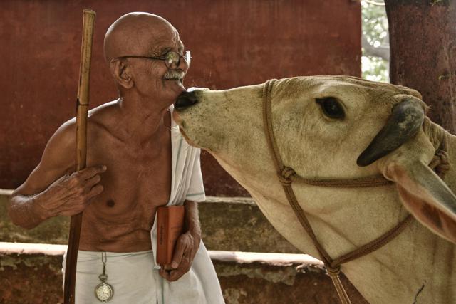 Mahesh Chaturvedi, 68, is a modern-day Gandhi: complete with round glasses, a crisp white dhoti and a message to transform the society. Chaturvedi says he travels across the country spreading his ideas about a reformed social system that will wipe out poverty. (Arun Sharma/ HT Photo) Mahesh Chaturvedi, 68, is a modern-day Gandhi: complete with round glasses, a crisp white dhoti and a message to transform the society. Chaturvedi says he travels across the country spreading his ideas about a reformed social system that will wipe out poverty. (Arun Sharma/ HT Photo)