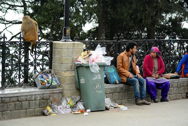 The administration failed to put additional bins in the town and those available were full. (Deepak Sansta/HT Photo) The administration failed to put additional bins in the town and those available were full. (Deepak Sansta/HT Photo)