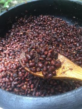 Akhuni Pickle from Nagaland (Photo courtesy: Kunal Kapur )