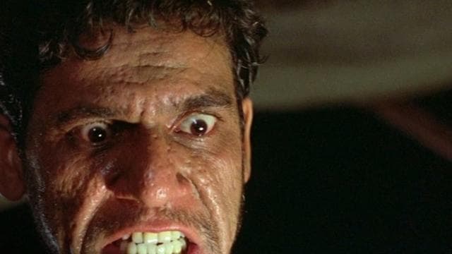 Puri played a 90-second role of Nahari, a man who lost his son in the riots. Puri played a 90-second role of Nahari, a man who lost his son in the riots.