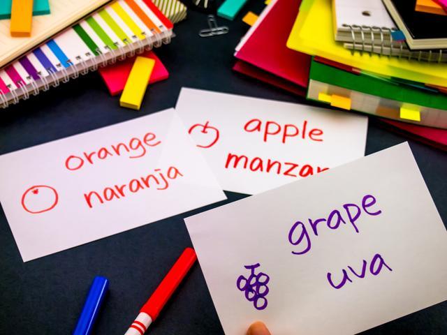 The researchers established that years of bilingualism change how the brain carries out tasks that require concentrating on one piece of information without becoming distracted by other information. (Shutterstock) The researchers established that years of bilingualism change how the brain carries out tasks that require concentrating on one piece of information without becoming distracted by other information. (Shutterstock)