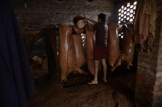 A worker treats an animal hide at a tannery unit. (Sikander Singh/HT Photo) A worker treats an animal hide at a tannery unit. (Sikander Singh/HT Photo)