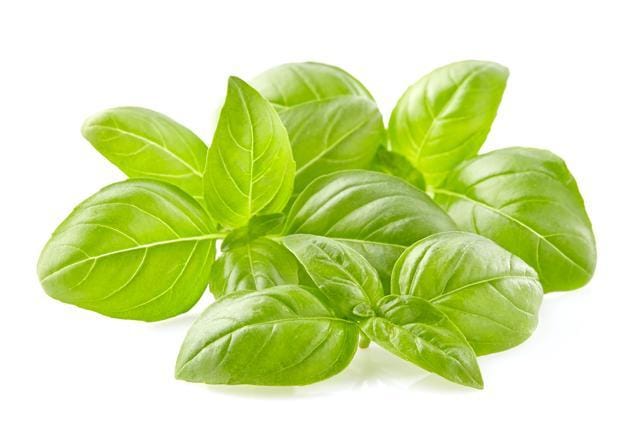 Not only does basil fight dandruff, it also conditions the hair. (Shutterstock) Not only does basil fight dandruff, it also conditions the hair. (Shutterstock)
