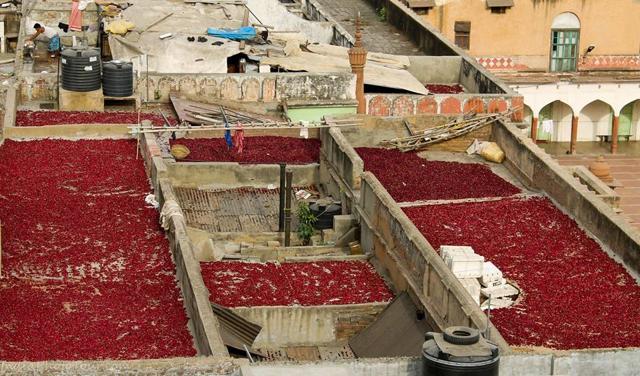 Workers drying rose petals on roof tops of Old Delhi’s spice market; as shot by a tourist. (Facebook/ Delhi Photo Tours) Workers drying rose petals on roof tops of Old Delhi’s spice market; as shot by a tourist. (Facebook/ Delhi Photo Tours)