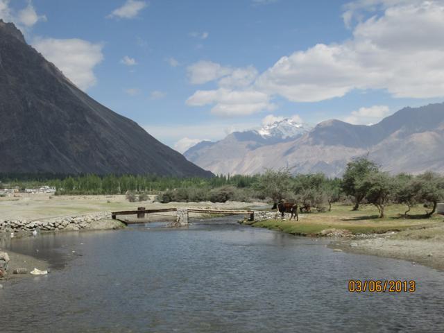 A stream that serves Hunder. (Sabir Hussain/HT Photo) A stream that serves Hunder. (Sabir Hussain/HT Photo)
