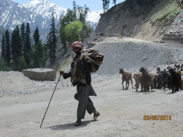 A shepherd on teh Mughal Road heading for Shopian. (Sabir Hussain/HT Photo) A shepherd on teh Mughal Road heading for Shopian. (Sabir Hussain/HT Photo)
