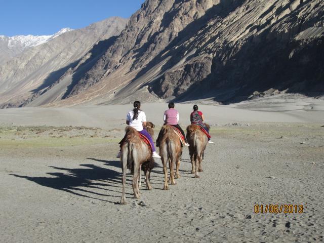 Tourists on Bactrian camels in Hunder. (Sabir Hussain/HT Photo) Tourists on Bactrian camels in Hunder. (Sabir Hussain/HT Photo)