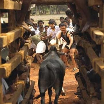 A still from Kamal Haasan’s film, Virumandi. A still from Kamal Haasan’s film, Virumandi.