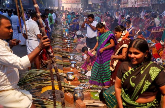 Traditionally, pongal is made in households across the state using freshly harvested rice grains. (Reuters Photo) Traditionally, pongal is made in households across the state using freshly harvested rice grains. (Reuters Photo)