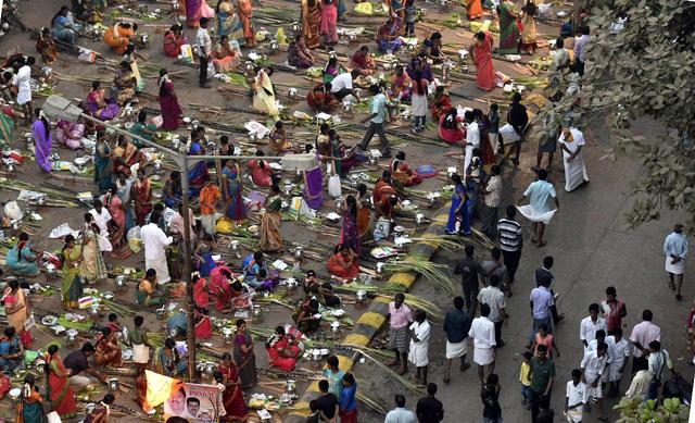 Pongal is a harvest festival and since rice is one of the main crops grown, it is given due importance during the rituals. (Kunal Patil/HT Photo) Pongal is a harvest festival and since rice is one of the main crops grown, it is given due importance during the rituals. (Kunal Patil/HT Photo)