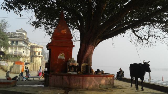 Assi ghat, Varanasi. Varanasi has more than 20,000 temples. Many of them are dedicated to the Hindu god, Shiva. (Paramita Ghosh / HT Photo)