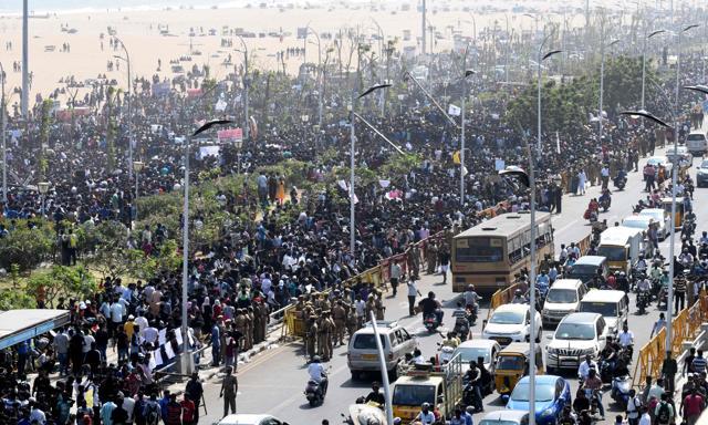 Protesters gather during a demonstration against the ban on the Jallikattu bull taming ritual, and calling for a ban on animal rights organisation PETA, at Marina Beach at Chennai on January 19, 2017. (AFP) Protesters gather during a demonstration against the ban on the Jallikattu bull taming ritual, and calling for a ban on animal rights organisation PETA, at Marina Beach at Chennai on January 19, 2017. (AFP)