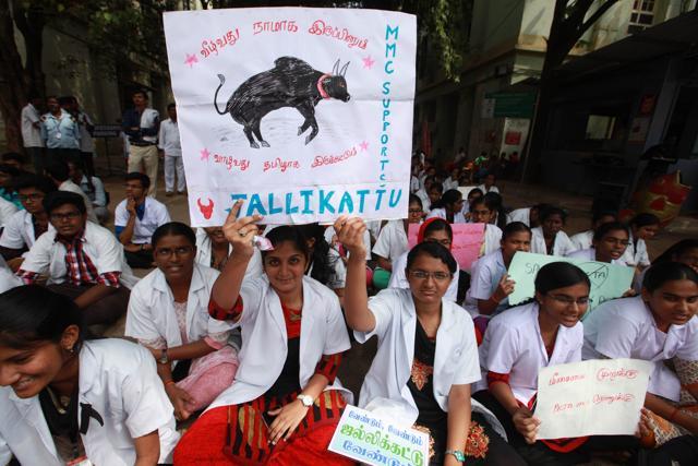 Thousands of people participated in Pro-Jallikattu protests in different parts of the city in Chennai. (V Srinivasulu/HT Photo) Thousands of people participated in Pro-Jallikattu protests in different parts of the city in Chennai. (V Srinivasulu/HT Photo)