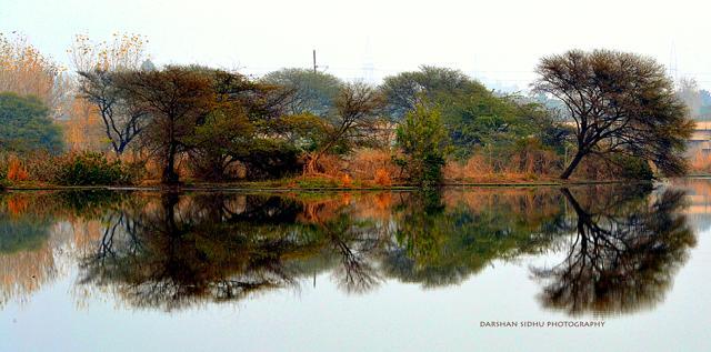 A ‘tobaa’ at village Bajheri, Kharar. The pond appears serene and lovely but the look is deceptive as sewerage waters of Kharar town have polluted the water body. (HOTO: DARSHAN SIDHU PHOTOGRAPHY )