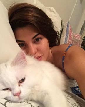 Jacqueline Fernandez is very fond of her cat, Miu Miu. (Instagram/jacquelinef143)