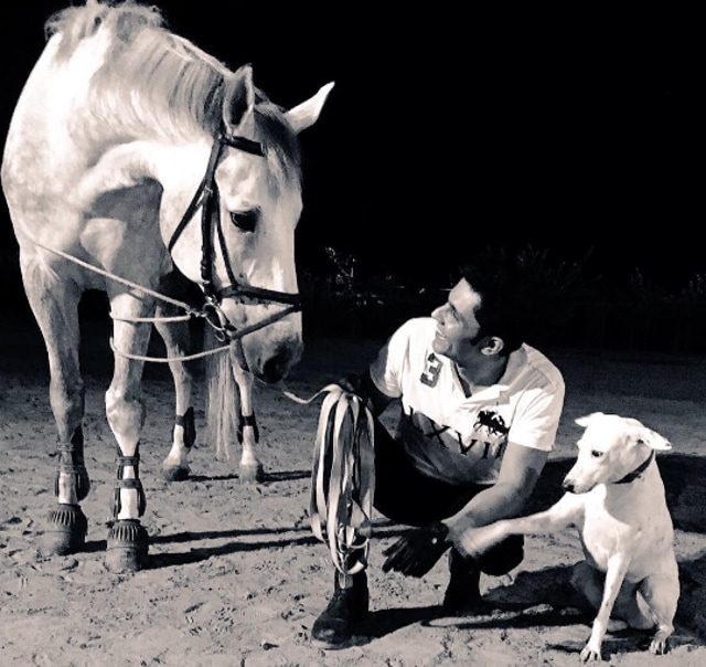 Randeep Hooda breeds horses and helps dying horses get back on track. (Instagram/randeephooda)