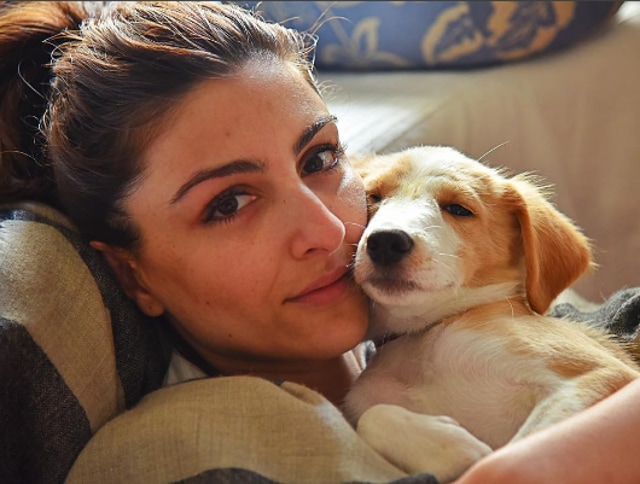Both Soha Ali Khan and her husband Kunal Kemmu are animal lovers. (Instagram/khemster2)