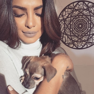 Priyanka Chopra with her pet, Diana. (Instagram/priyankachopra)
