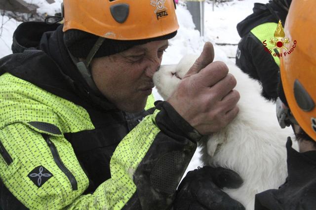 A firefighter kisses one of the three puppies that were found alive in the rubble of the avalanche-hit Hotel Rigopiano, near Farindola, central Italy, Monday. (AP Photo) A firefighter kisses one of the three puppies that were found alive in the rubble of the avalanche-hit Hotel Rigopiano, near Farindola, central Italy, Monday. (AP Photo)