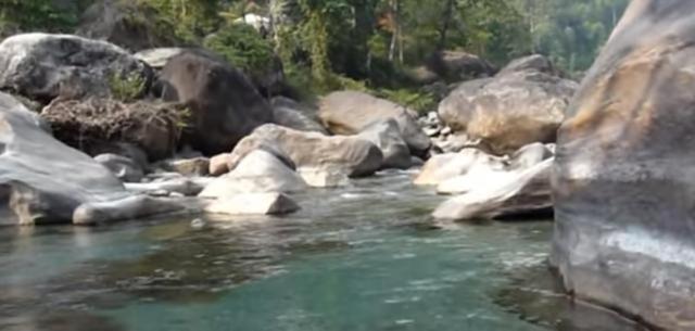 Dooars boast of a spectacular array of flora and fauna. Dooars boast of a spectacular array of flora and fauna.