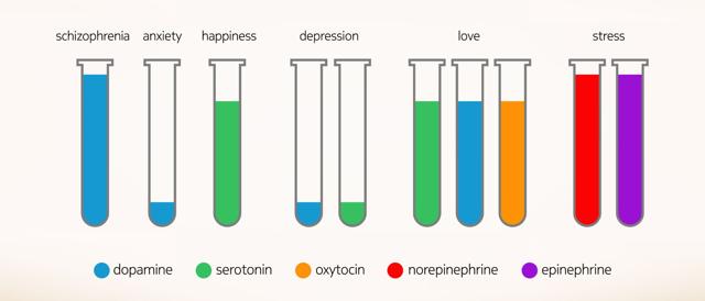 The chemical combinations responsible for our emotions. (Shutterstock)