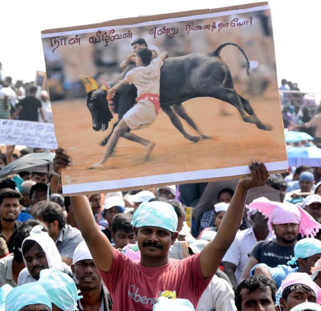 Students protesting at Marina Beach in Chennai. (V Srinivasulu/HT Photo) Students protesting at Marina Beach in Chennai. (V Srinivasulu/HT Photo)
