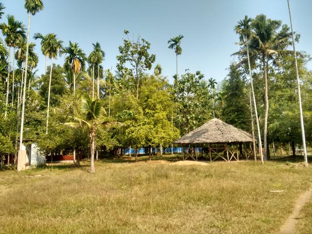 The excavation site in Pattanam (GRIST Media) The excavation site in Pattanam (GRIST Media)