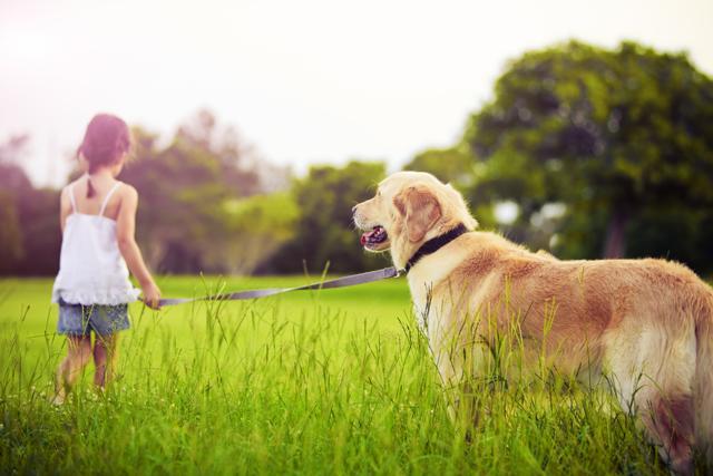 The results of the study revealed that girls reported more disclosure, companionship and conflict with their pet than boys. (Shutterstock) The results of the study revealed that girls reported more disclosure, companionship and conflict with their pet than boys. (Shutterstock)