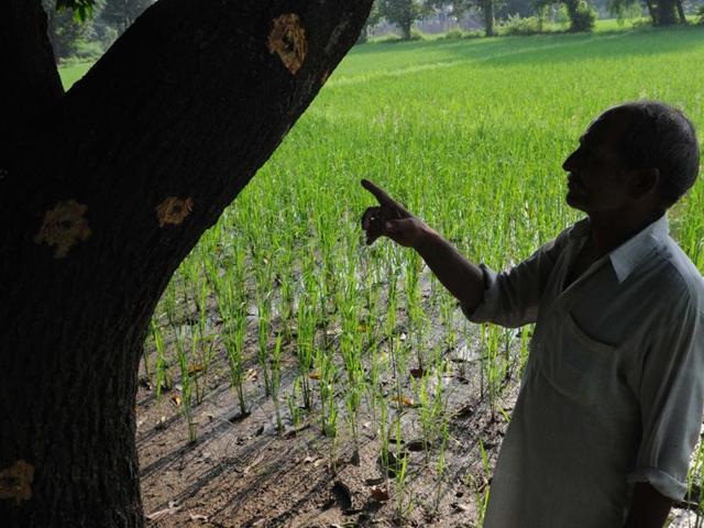 A villager shows bullet marks fired from Pakistan during heavy shelling from Pakistan side at the international border at Pargwal sector in Akhnoor. (Nitin Kanotra /HT File Photo) A villager shows bullet marks fired from Pakistan during heavy shelling from Pakistan side at the international border at Pargwal sector in Akhnoor. (Nitin Kanotra /HT File Photo)
