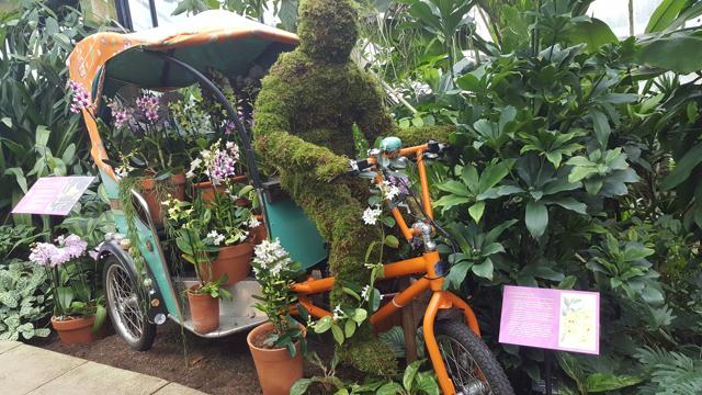 A cycle rickshaw decked with orchids from India at Kew’s Orchid Festival 2017, Royal Botanic Gardens, London. (Prasun Sonwalkar / HT Photo) A cycle rickshaw decked with orchids from India at Kew’s Orchid Festival 2017, Royal Botanic Gardens, London. (Prasun Sonwalkar / HT Photo)