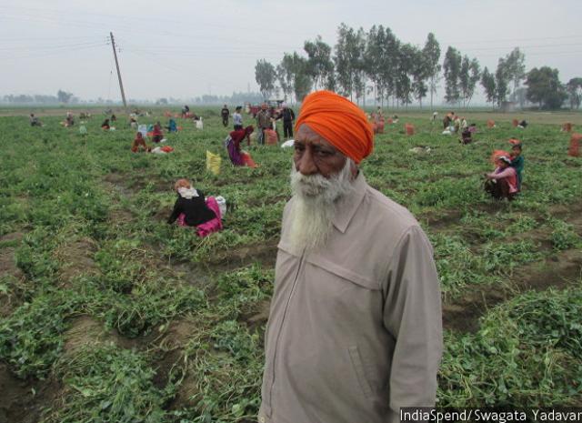 Harbhajan Singh was a soldier for 18 years and worked as a security guard at a bank for 24 years. He owns the two acres that he farms for wheat and peas. Over the last two months, he has lost Rs 35,000, as the rural economy temporarily collapsed after demonetisation.