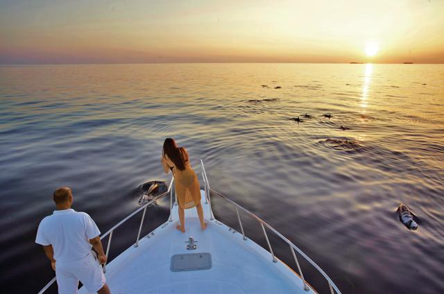 The dolphin cruise has become a standard feature at the Soneva Fushi resort (Dan Kullberg) The dolphin cruise has become a standard feature at the Soneva Fushi resort (Dan Kullberg)