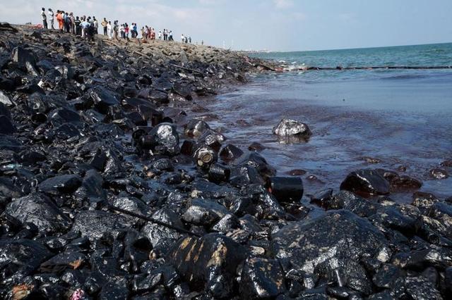 Emergency workers and locals stand along the shoreline of Ennore port during the clean-up operation in Chennai. (Reuters) Emergency workers and locals stand along the shoreline of Ennore port during the clean-up operation in Chennai. (Reuters)