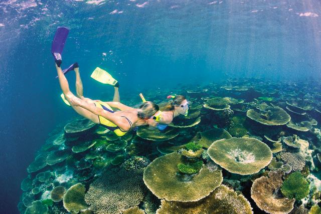 Maldives is a paradise for snorkelling (Getty Images) Maldives is a paradise for snorkelling (Getty Images)