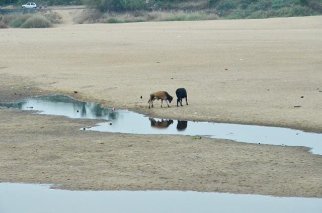 There was 33.7% deficiency in the southwest monsoon between July and September. (File Photo)