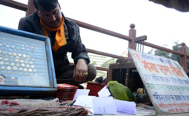 The parrot, Ganga Ram, was given handwritten white chits to pick. (Deepak Sansta/HT Photo) The parrot, Ganga Ram, was given handwritten white chits to pick. (Deepak Sansta/HT Photo)