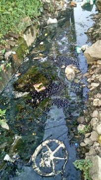 Railway officials said the quantum of garbage would be ten times the amount observed now if pre-monsoon drives are not undertaken. (HT Photo) Railway officials said the quantum of garbage would be ten times the amount observed now if pre-monsoon drives are not undertaken. (HT Photo)