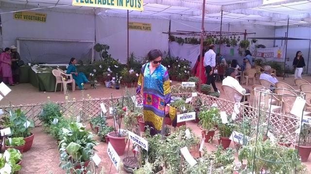 A visitor takes a look at the annual fruit, flower and vegetable show by the All India Kitchen Garden Association. A visitor takes a look at the annual fruit, flower and vegetable show by the All India Kitchen Garden Association.