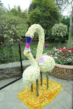 A flower sculpture of swans at one of the previous editions of the Garden Tourism Festival.