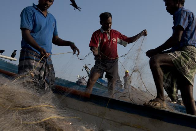 After a poor day at fishing fishermen make do with their insufficient catch. (Saumya Khandelwal/HT PHOTO)