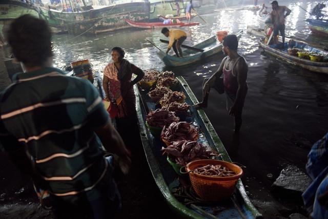 Business continues as usual for big fisherman who go deep into the sea for fishing and are thus not affected by the oil spills substantially at Kasimedu beach. (Saumya Khandelwal/HT PHOTO)