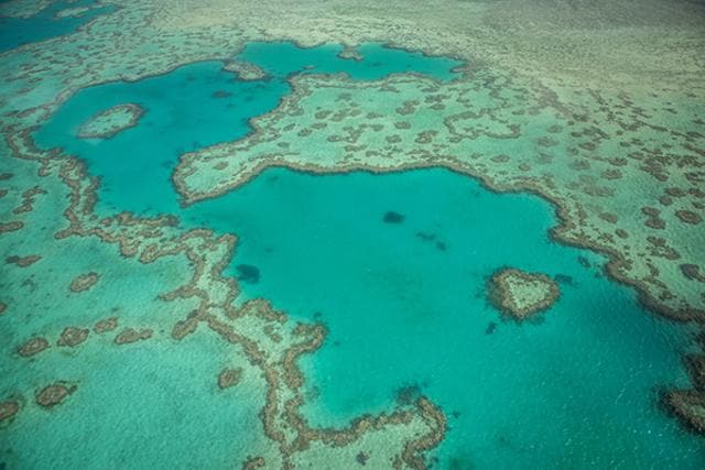 Heart Reef in Queensland, Australia. (Istock) Heart Reef in Queensland, Australia. (Istock)