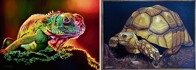Paintings of wildlife by Devinder Ajnabee, oils on canvas. (PHOTOS: IQBAL KAUR) Paintings of wildlife by Devinder Ajnabee, oils on canvas. (PHOTOS: IQBAL KAUR)
