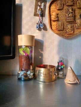 Keep the terrarium exposed to morning or evening light for at least 10 to 12 hours a day (IMAGE: MAHITHI) Keep the terrarium exposed to morning or evening light for at least 10 to 12 hours a day (IMAGE: MAHITHI)