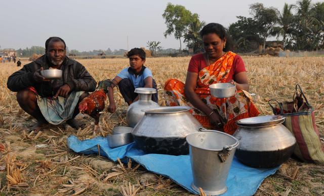 Local toddy is freely available near the spots where the fights are held. (Subhankar Chakraborty) Local toddy is freely available near the spots where the fights are held. (Subhankar Chakraborty)